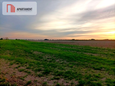 Działka w spokojnej okolicy - Komratowo  -
Kujawsko-Pomorskie Zdjęcie nr 3