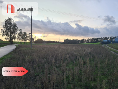 OKAZJA Działki w cichej i spokojnej okolicy - Skorzewo  -
Pomorskie Zdjęcie nr 2