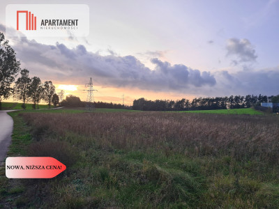 OKAZJA Działki w cichej i spokojnej okolicy - Skorzewo  -
Pomorskie Zdjęcie nr 3