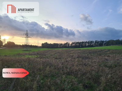 OKAZJA Działki w cichej i spokojnej okolicy - Skorzewo  -
Pomorskie Zdjęcie nr 4