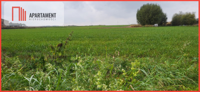 Działki budowlane - Wyrzysk Skarbowy - Wyrzysk Skarbowy  - Wielkopolskie
