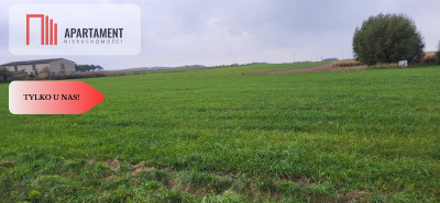 Działki budowlane - Wyrzysk Skarbowy - Wyrzysk Skarbowy  -
Wielkopolskie Zdjęcie nr 2