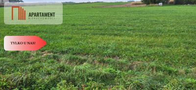 Działki budowlane - Wyrzysk Skarbowy - Wyrzysk Skarbowy  -
Wielkopolskie Zdjęcie nr 3