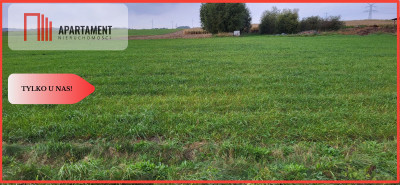 Działki budowlane - Wyrzysk Skarbowy - Wyrzysk Skarbowy  -
Wielkopolskie Zdjęcie nr 4