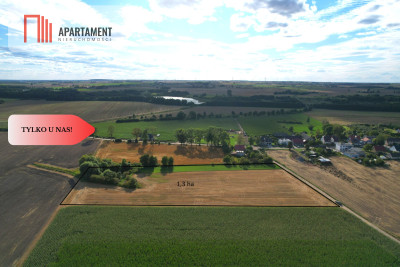 Tylko u nas  Działki ze stawem - powiat tucholski  -
Kujawsko-Pomorskie Zdjęcie nr 2