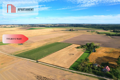 Tylko u nas  Działki ze stawem - powiat tucholski  -
Kujawsko-Pomorskie Zdjęcie nr 3