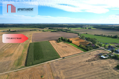 Tylko u nas  Działki ze stawem - powiat tucholski  -
Kujawsko-Pomorskie Zdjęcie nr 4