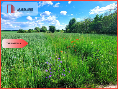 Tylko u nas  Działki ze stawem - powiat tucholski  -
Kujawsko-Pomorskie Zdjęcie nr 5