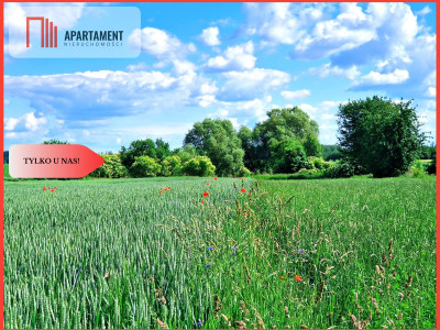 Tylko u nas  Działki ze stawem - powiat tucholski  -
Kujawsko-Pomorskie Zdjęcie nr 8