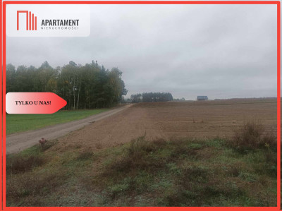TYLKO U NAS Super działki budowlane uzbrojone - Ciechocin  -
Kujawsko-Pomorskie Zdjęcie nr 2