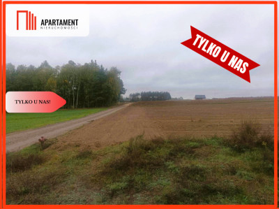 TYLKO U NAS Super działki budowlane uzbrojone - Ciechocin  -
Kujawsko-Pomorskie Zdjęcie nr 3