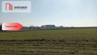 TYLKO U NAS Super działki budowlane uzbrojone - Ciechocin  -
Kujawsko-Pomorskie Zdjęcie nr 5