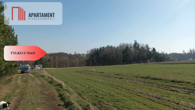 TYLKO U NAS Super działki budowlane uzbrojone - Ciechocin  -
Kujawsko-Pomorskie Zdjęcie nr 6