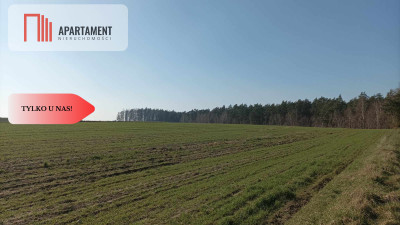 TYLKO U NAS Super działki budowlane uzbrojone - Ciechocin  -
Kujawsko-Pomorskie Zdjęcie nr 8