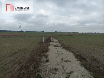 Działka z dala od zgiełku miasta - Krążkowo  -
Kujawsko-Pomorskie Zdjęcie nr 3