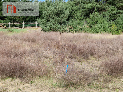 Ostatnia działka budowlana z WZ - Laski Małe  -
Kujawsko-Pomorskie Zdjęcie nr 2