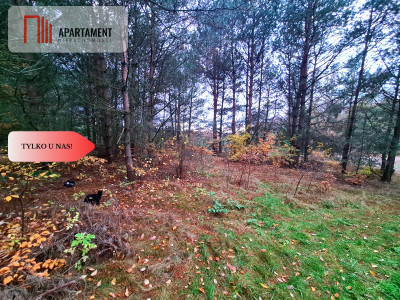 Tylko u nasDziałka w okolicy lasów i jezior - Bartoszylas  -
Pomorskie Zdjęcie nr 9