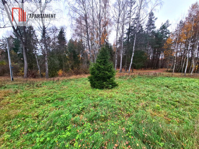 Działka rekreacyjna z dużym potencjałem - Stara Kiszewa  -
Pomorskie Zdjęcie nr 4