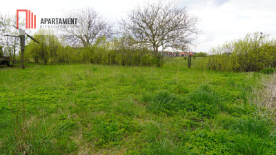 Duża działka do podziału lub inwestycji - Chojniczki  -
Pomorskie Zdjęcie nr 5