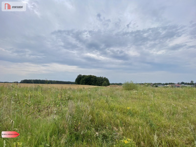 działki pod Starogardem Gdańskim - Rokocin  - Pomorskie