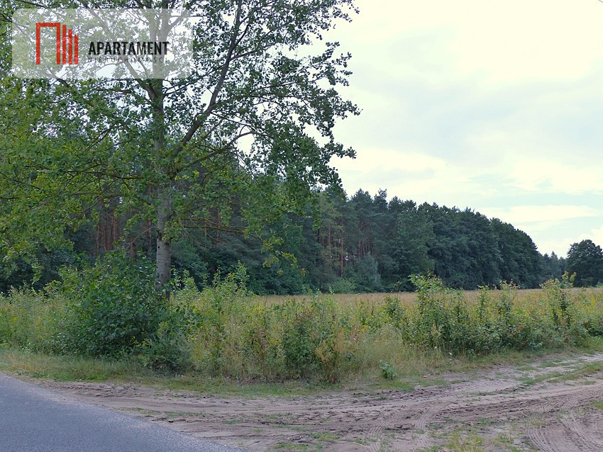 wydane warunki zabudowy pod siedlisko - Małomin - Małomin  -
Kujawsko-Pomorskie Zdjęcie nr 1