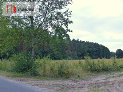 wydane warunki zabudowy pod siedlisko - Małomin - Małomin  - Kujawsko-Pomorskie