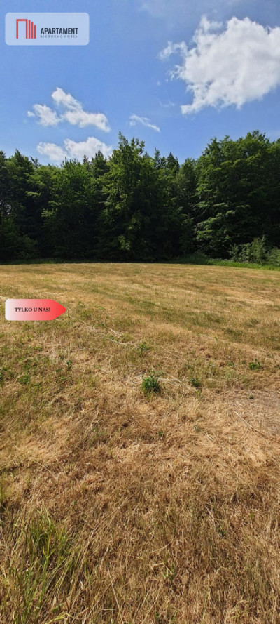 Miejsce na Twój dom działka przy lesie - Pieciska  -
Pomorskie Zdjęcie nr 10