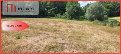 Miejsce na Twój dom działka przy lesie - Pieciska  -
Pomorskie Zdjęcie nr 9