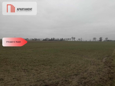 TYLKO U NAS-ATRAKCYJNE DZIAŁKI - Żygląd  -
Kujawsko-Pomorskie Zdjęcie nr 5