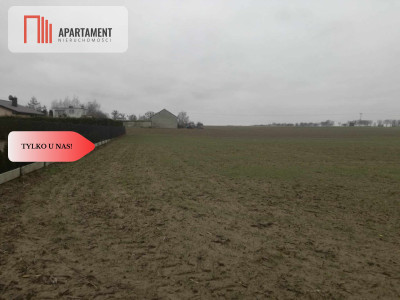 TYLKO U NAS-ATRAKCYJNE DZIAŁKI - Żygląd  -
Kujawsko-Pomorskie Zdjęcie nr 6