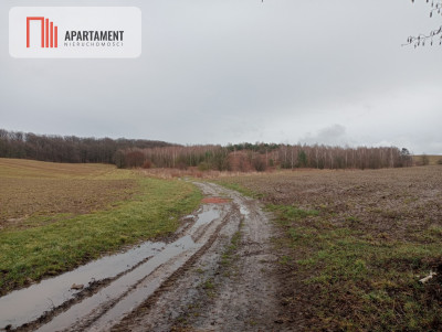 15 hadziałka inwestycyjnaok Oborniki Śląskie - Kuraszków  -
Dolnośląskie Zdjęcie nr 3