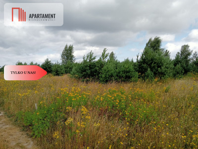 Atrakcyjna działka w Stronnie  - Stronno  -
Kujawsko-Pomorskie Zdjęcie nr 10