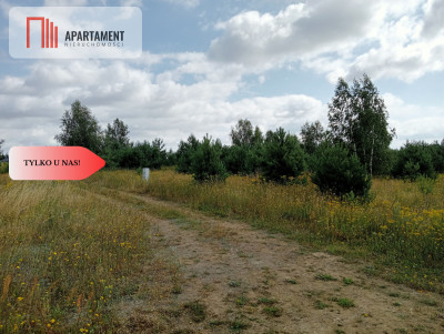 Atrakcyjna działka w Stronnie  - Stronno  -
Kujawsko-Pomorskie Zdjęcie nr 2