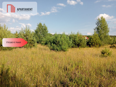 Atrakcyjna działka w Stronnie  - Stronno  -
Kujawsko-Pomorskie Zdjęcie nr 6