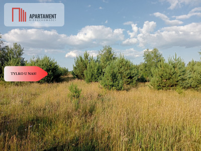 Atrakcyjna działka w Stronnie  - Stronno  -
Kujawsko-Pomorskie Zdjęcie nr 7