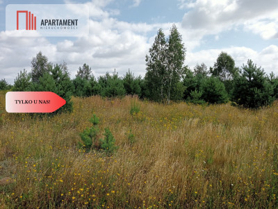 Atrakcyjna działka w Stronnie  - Stronno  -
Kujawsko-Pomorskie Zdjęcie nr 8