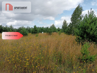 Atrakcyjna działka w Stronnie  - Stronno  -
Kujawsko-Pomorskie Zdjęcie nr 9