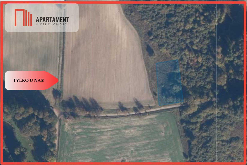 TYLKO U NAS Duża działka blisko lasu - Kiełpin  -
Pomorskie Zdjęcie nr 1