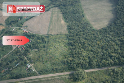 TYLKO U NAS Duża działka blisko lasu - Kiełpin  -
Pomorskie Zdjęcie nr 4