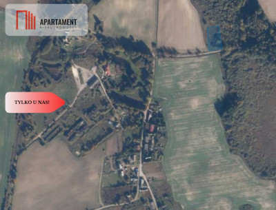 TYLKO U NAS Duża działka blisko lasu - Kiełpin  -
Pomorskie Zdjęcie nr 5