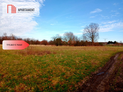 Działka budowlanampzpLipnica - Lipnica  -
Dolnośląskie Zdjęcie nr 3