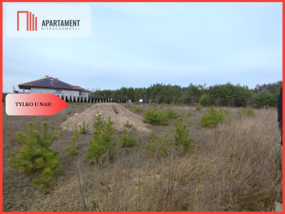 TYLKO U NAS Działka z miejscowym planem - Piła-Młyn  -
Kujawsko-Pomorskie Zdjęcie nr 2