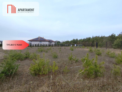 TYLKO U NAS Działka z miejscowym planem - Piła-Młyn  -
Kujawsko-Pomorskie Zdjęcie nr 6