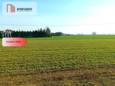 TYLKO U NAS - WŁÓKI 07HA SUPER LOKALIZACJA - Włóki  -
Kujawsko-Pomorskie Zdjęcie nr 5