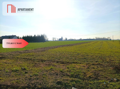 TYLKO U NAS - WŁÓKI 07HA SUPER LOKALIZACJA - Włóki  -
Kujawsko-Pomorskie Zdjęcie nr 6