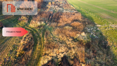 Malownicza działka wśród lasów i pól - OKAZJA - Gądek  -
Wielkopolskie Zdjęcie nr 11