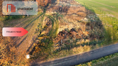 Malownicza działka wśród lasów i pól - OKAZJA - Gądek  -
Wielkopolskie Zdjęcie nr 12