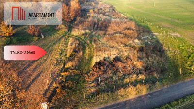 Malownicza działka wśród lasów i pól - OKAZJA - Gądek  -
Wielkopolskie Zdjęcie nr 13