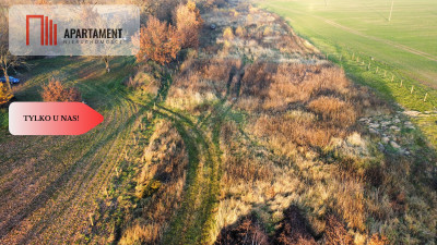 Malownicza działka wśród lasów i pól - OKAZJA - Gądek  -
Wielkopolskie Zdjęcie nr 14