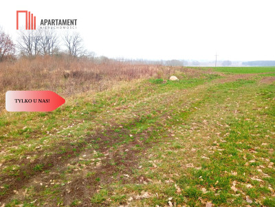 Malownicza działka wśród lasów i pól - OKAZJA - Gądek  -
Wielkopolskie Zdjęcie nr 4